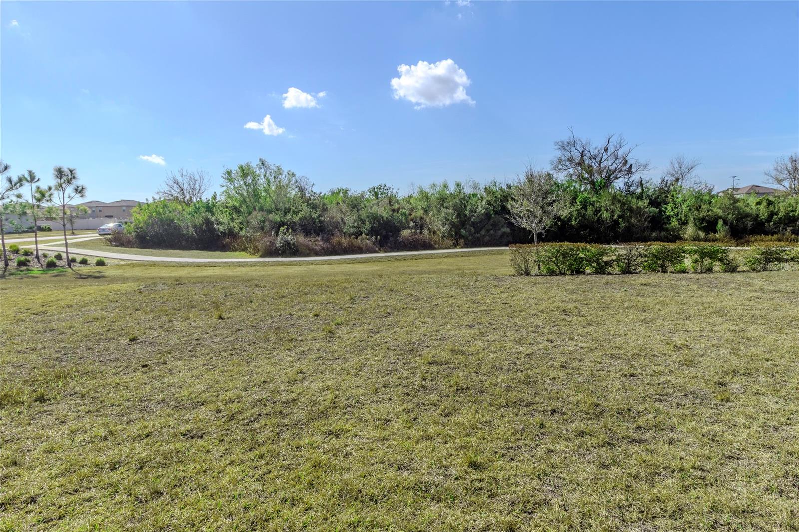 15541 COLT CREEK PL — photo 4
