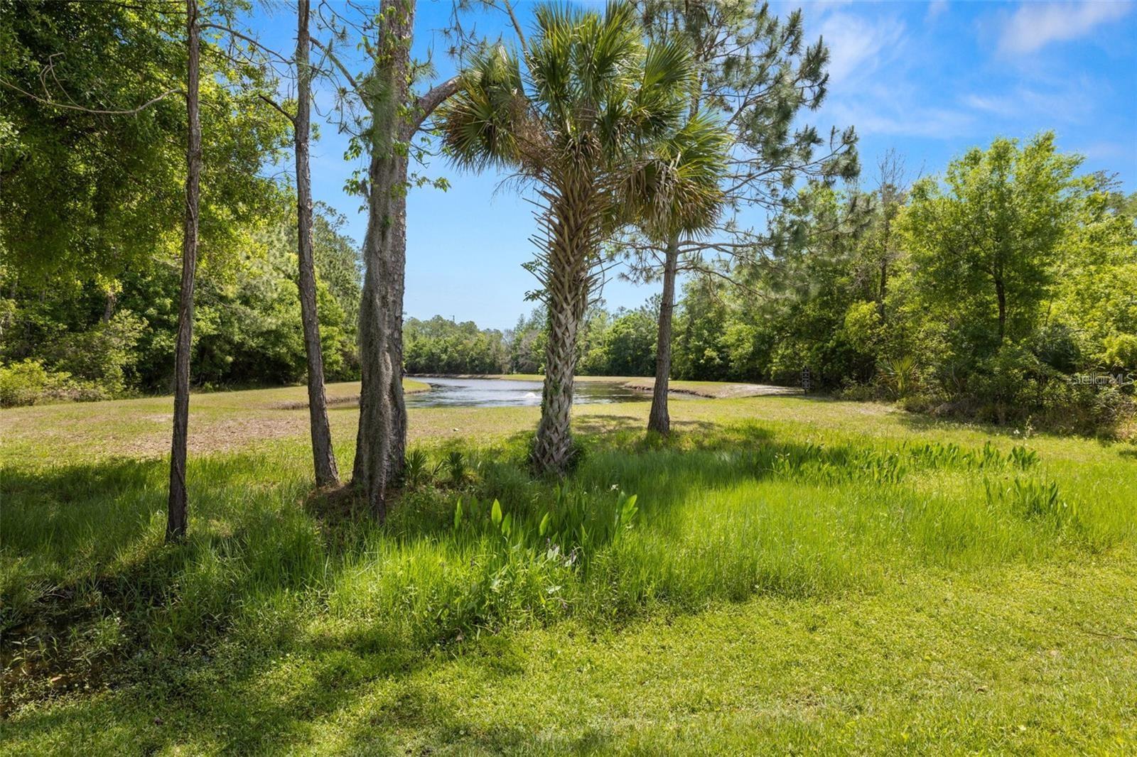 11034 WINDSOR PLACE CIR — photo 13