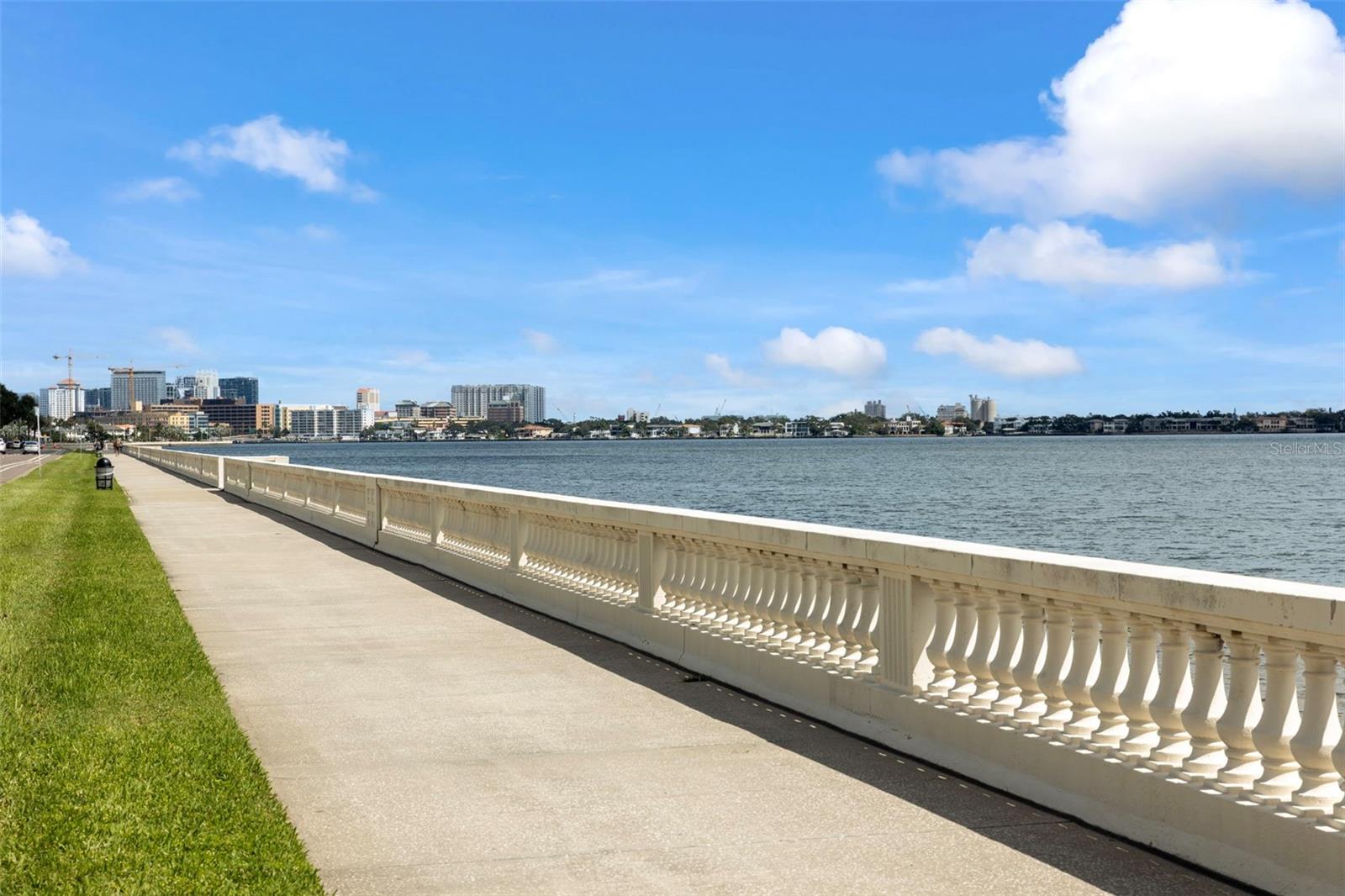 4141 BAYSHORE BLVD #205 — photo 19