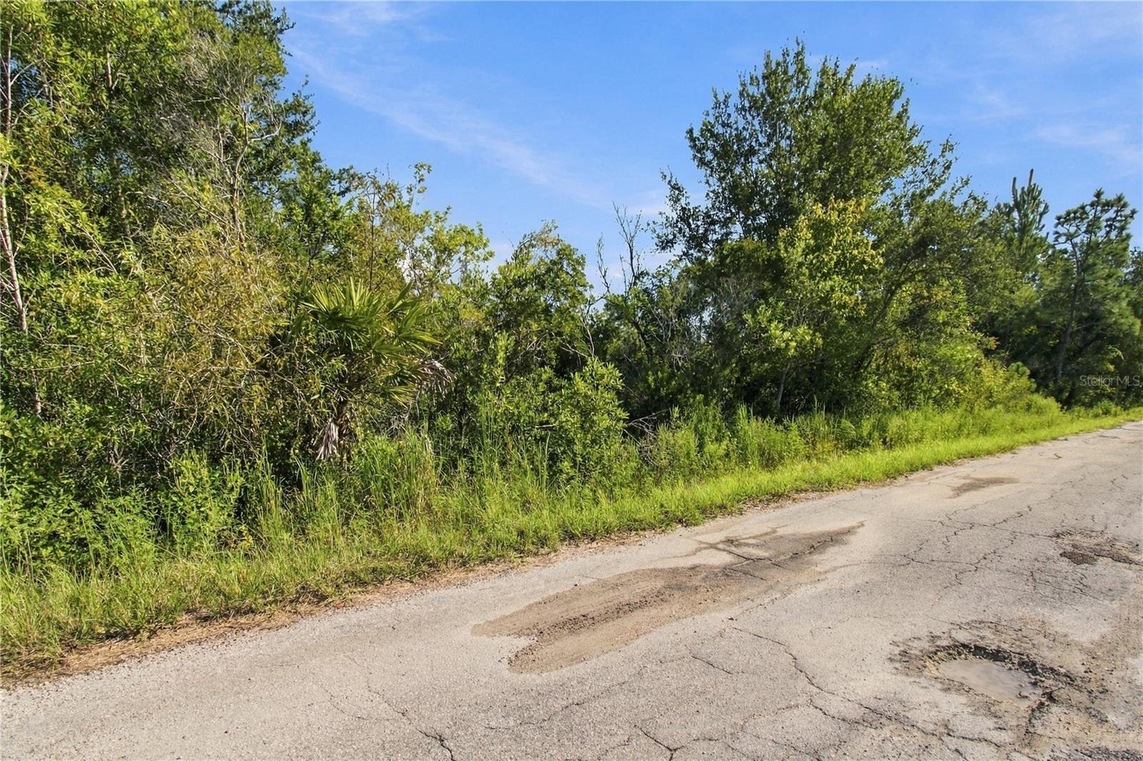 26633 PHEASANT RUN — photo 13