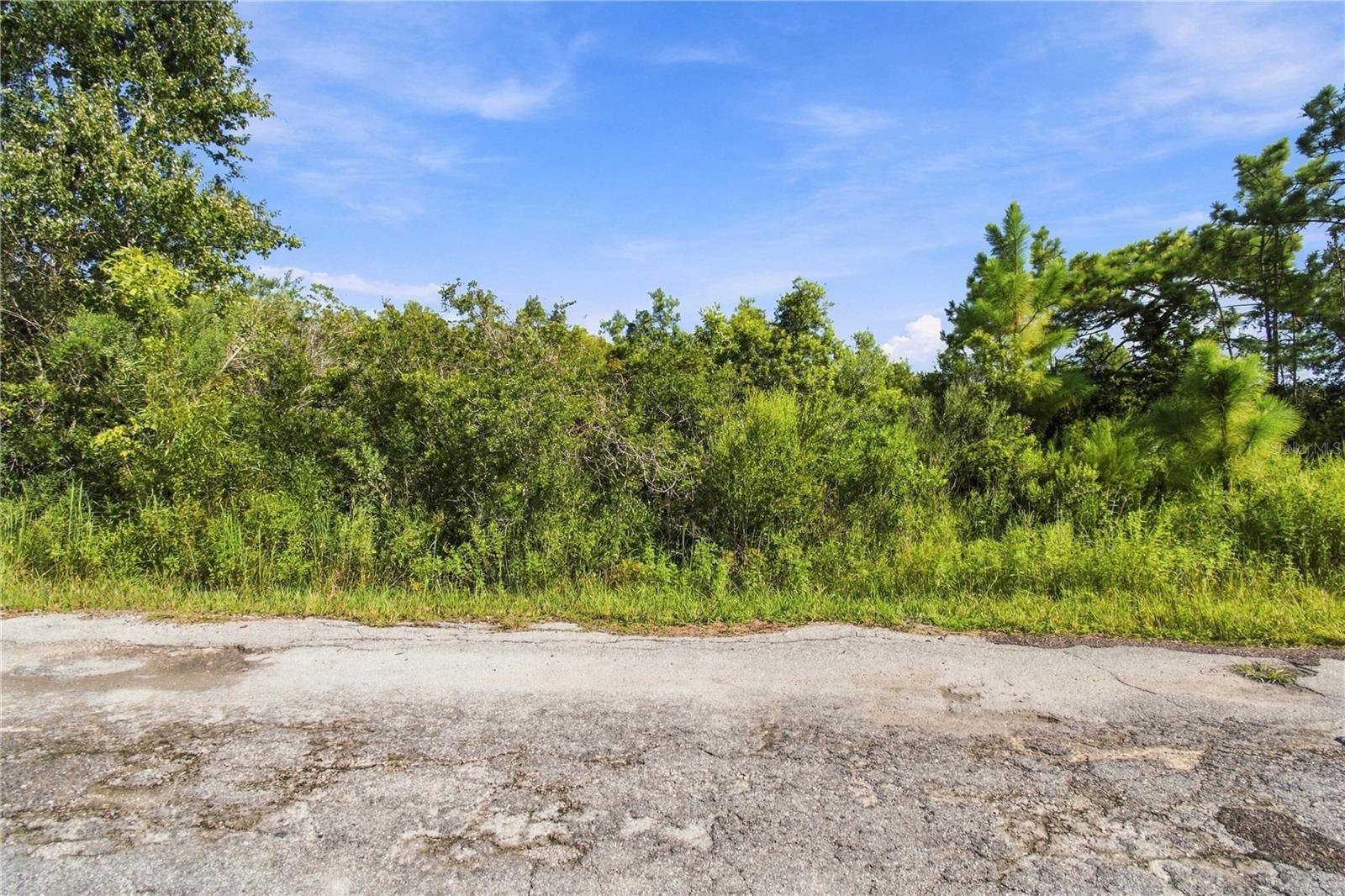 26633 PHEASANT RUN — photo 12
