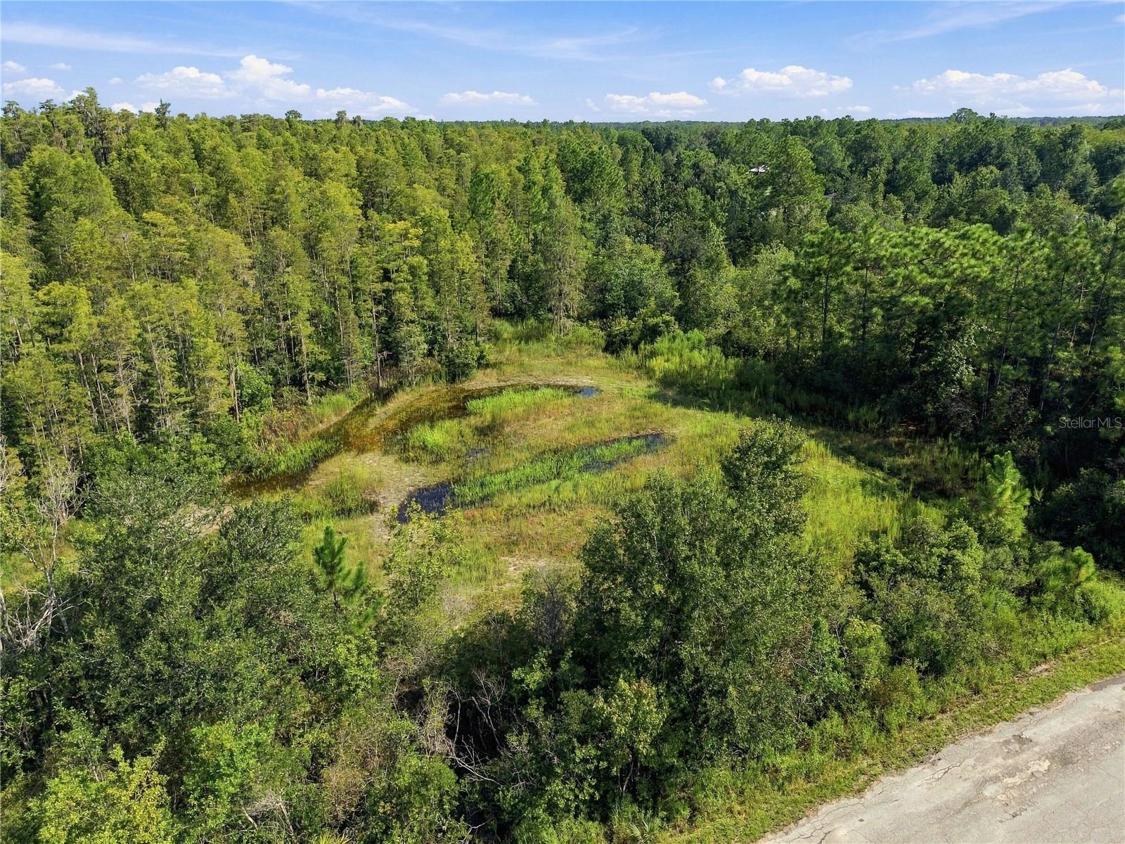 26633 PHEASANT RUN — photo 5