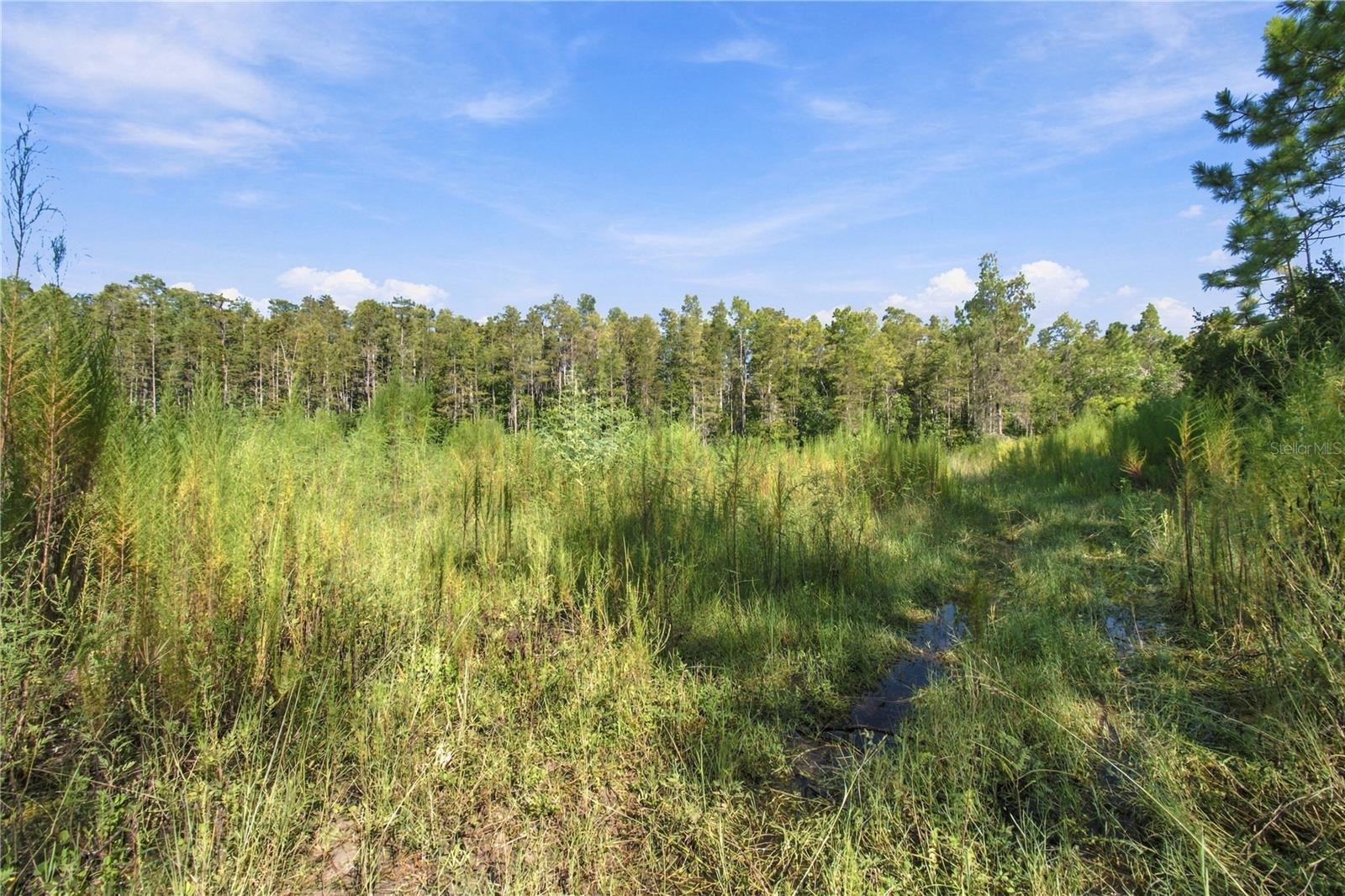 26633 PHEASANT RUN — photo 11