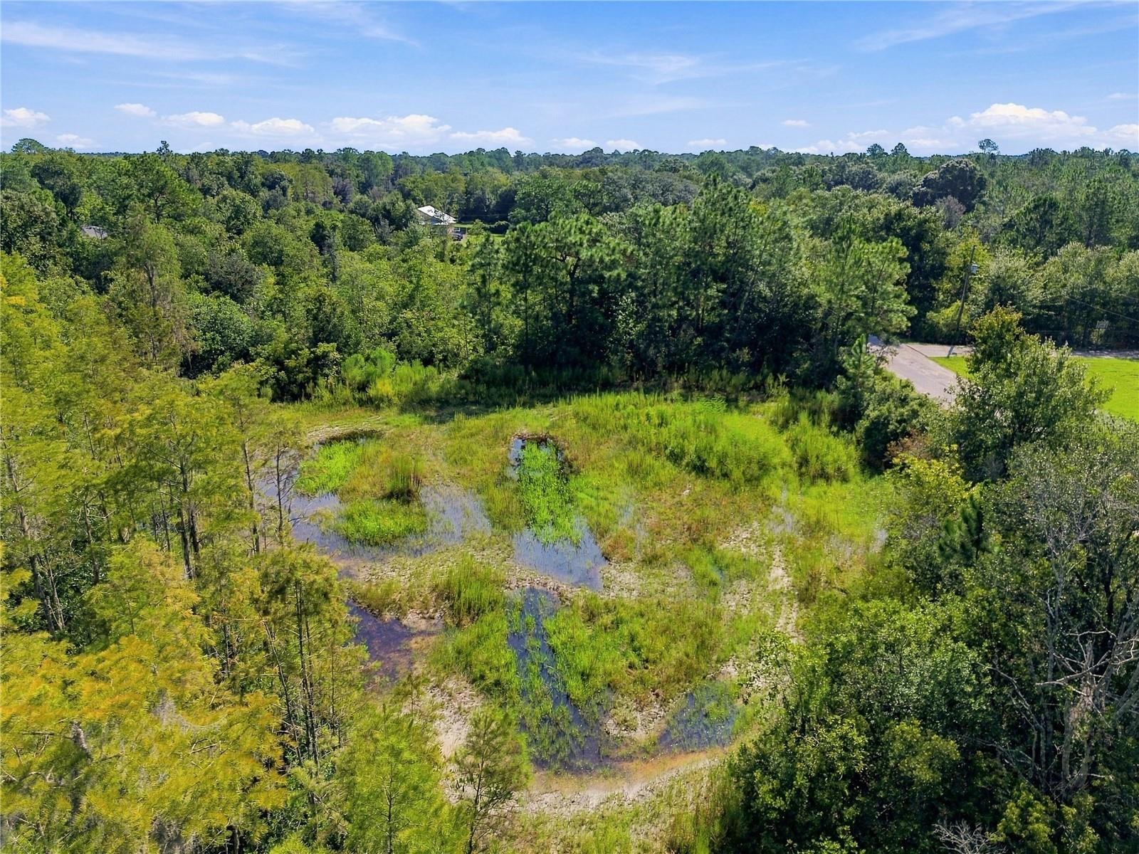 26633 PHEASANT RUN — photo 26