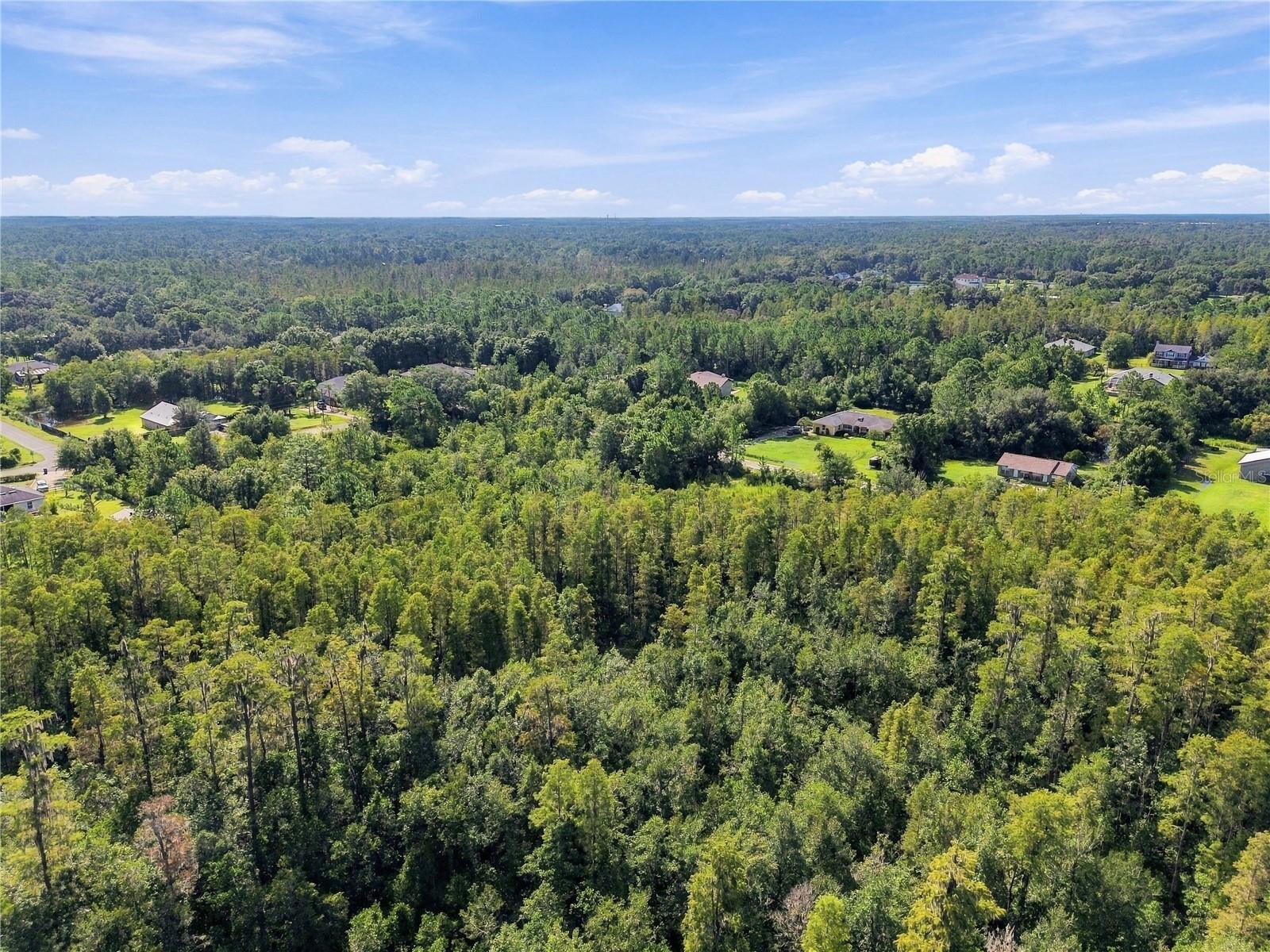26633 PHEASANT RUN — photo 49