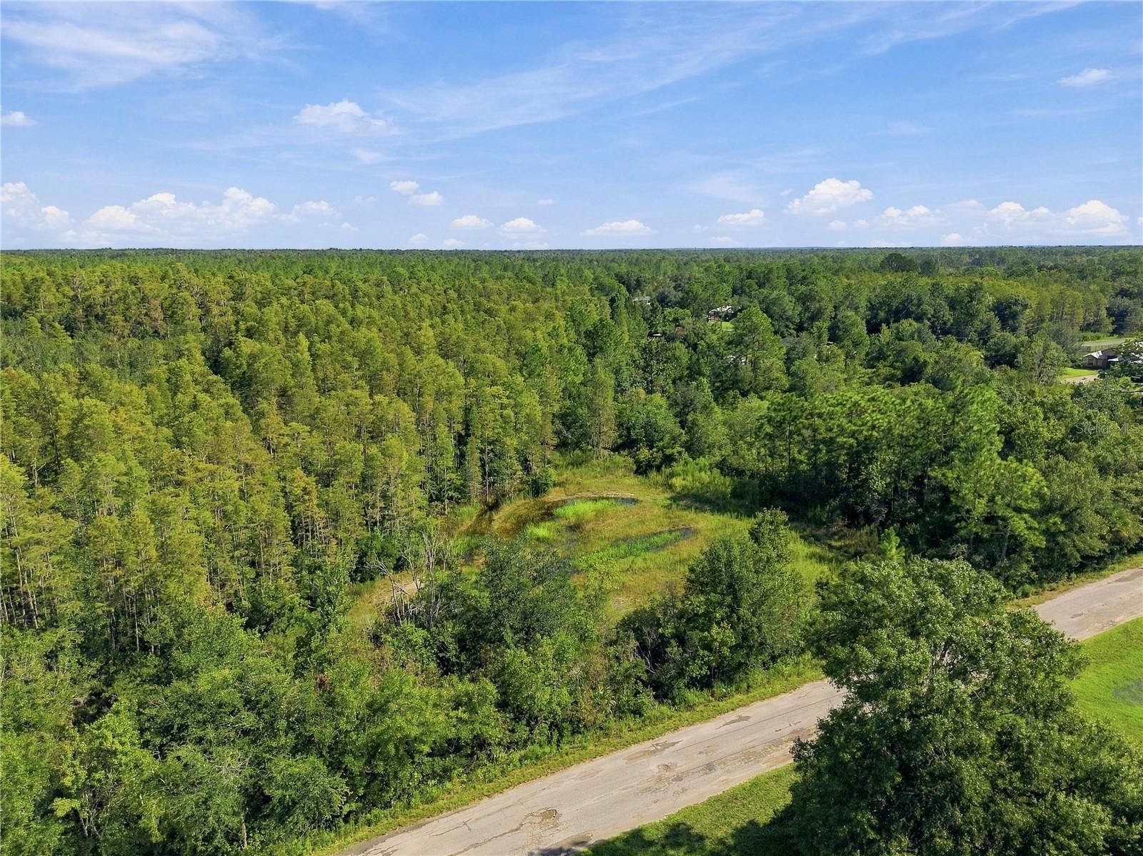 26633 PHEASANT RUN — photo 35