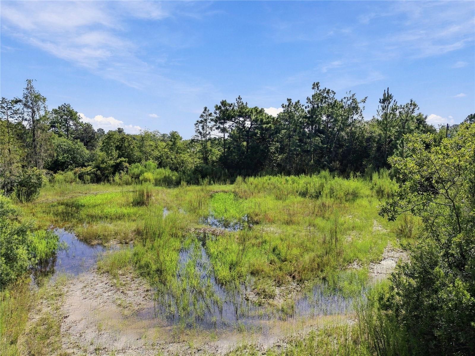 26633 PHEASANT RUN — photo 30
