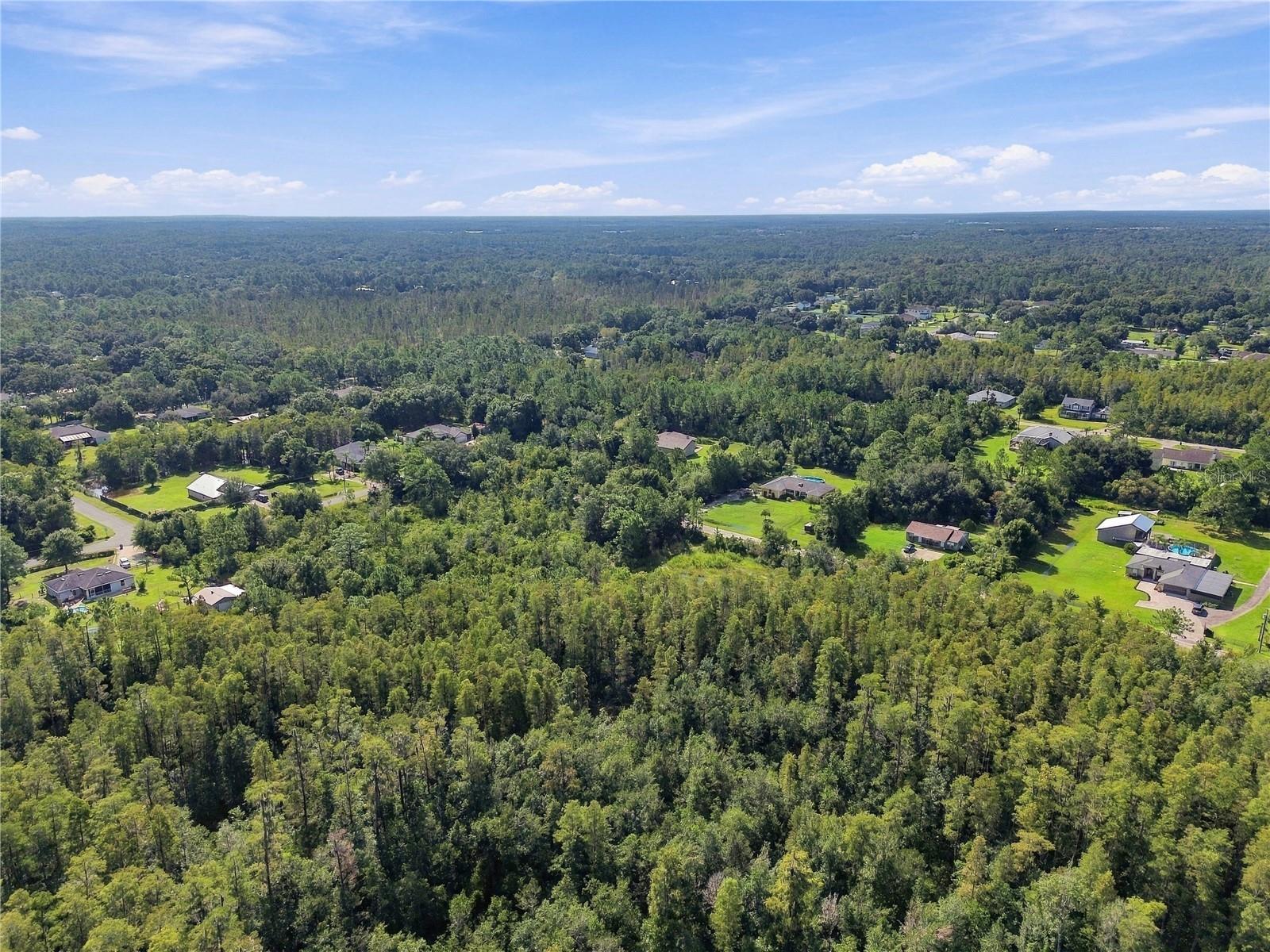 26633 PHEASANT RUN — photo 50