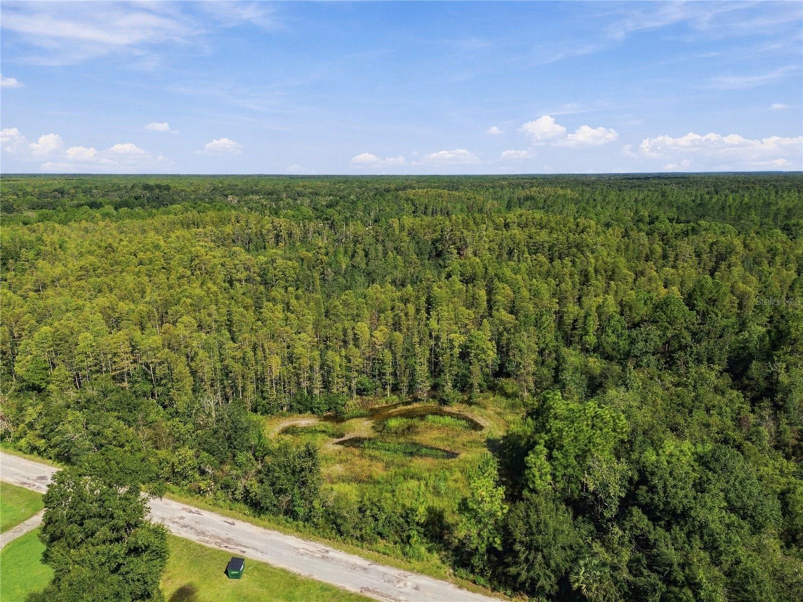 26633 PHEASANT RUN — photo 3