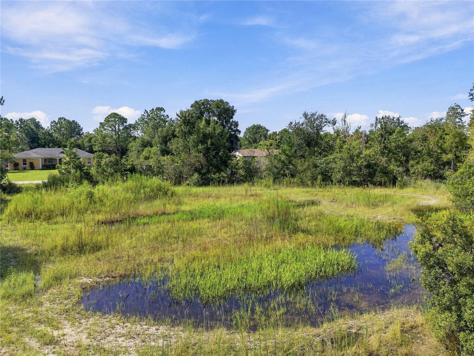 26633 PHEASANT RUN — photo 29