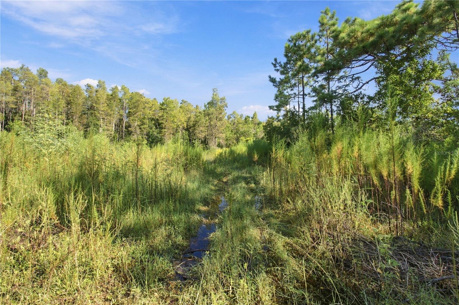 26633 PHEASANT RUN — photo 10