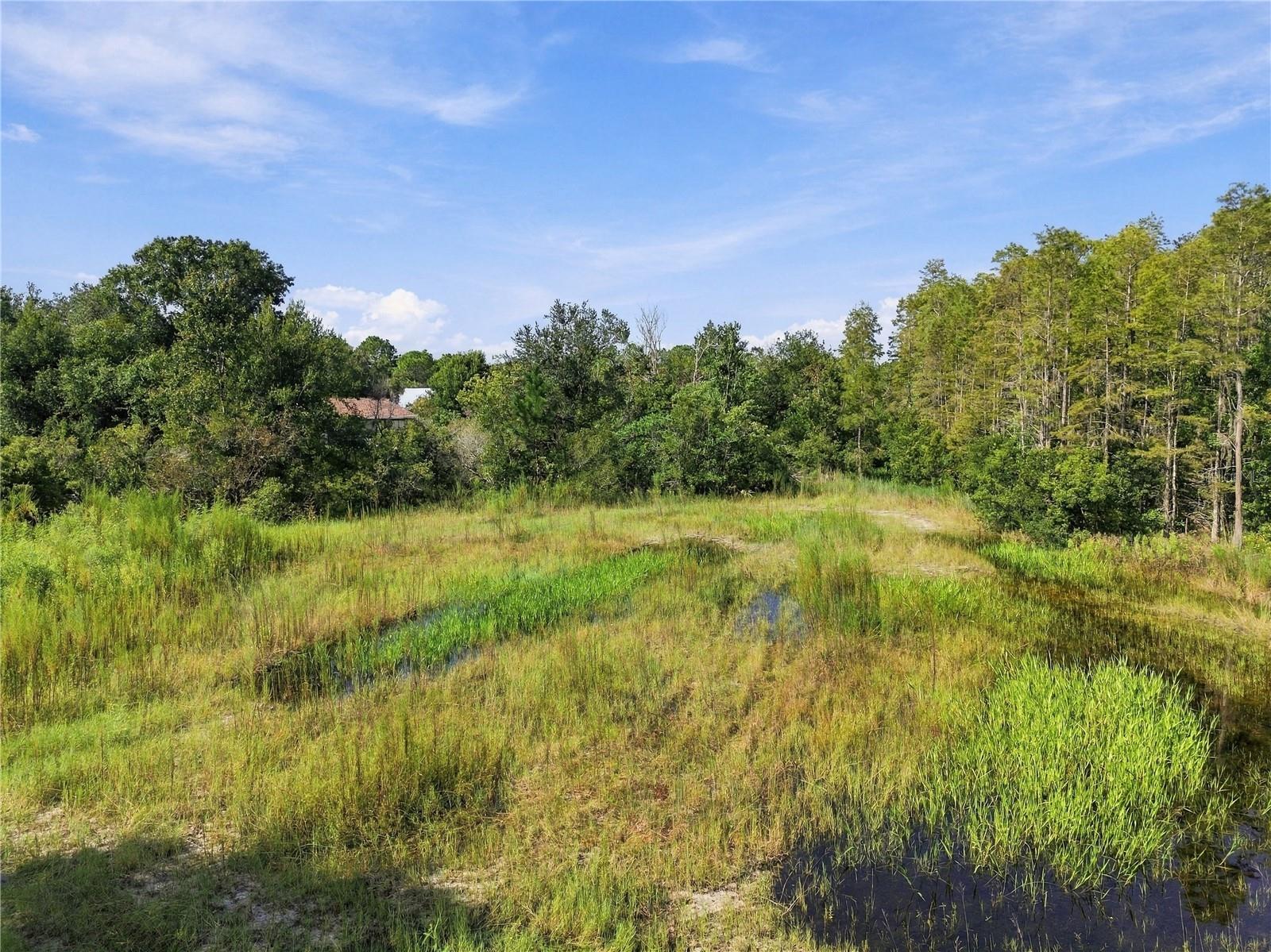 26633 PHEASANT RUN — photo 28