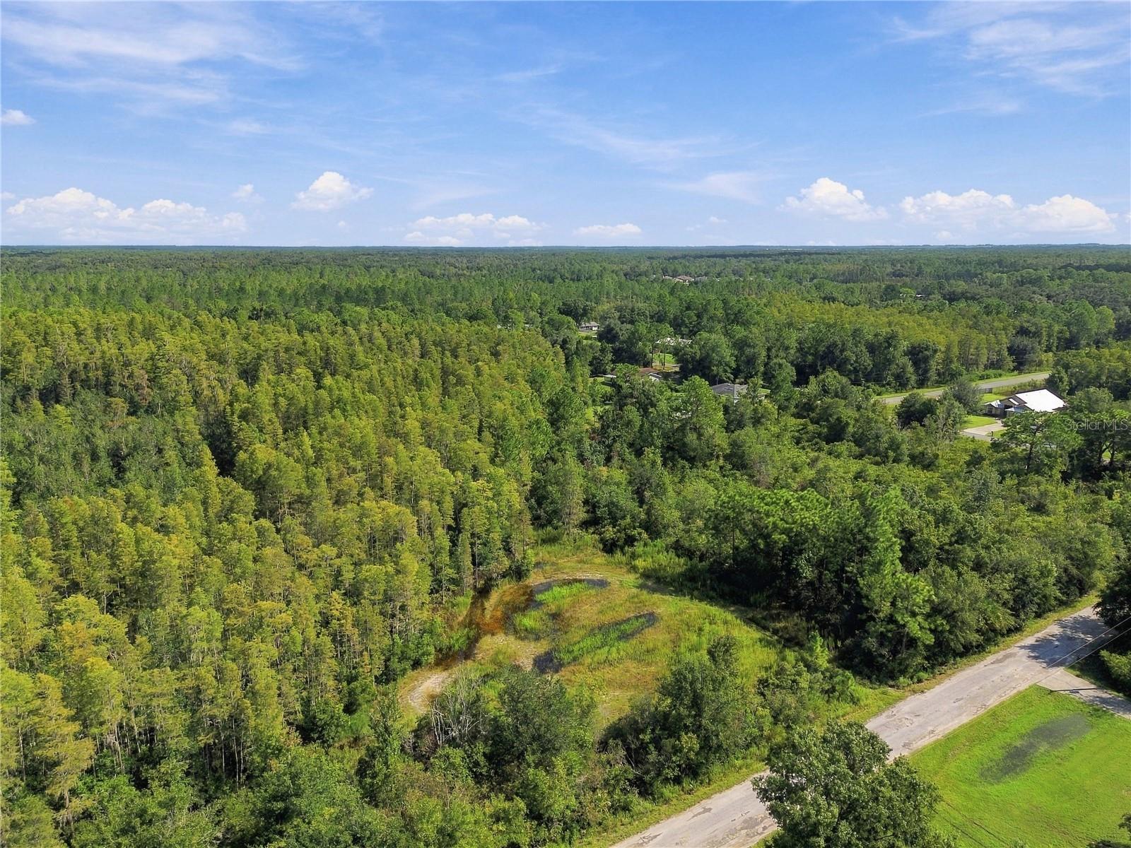 26633 PHEASANT RUN — photo 4