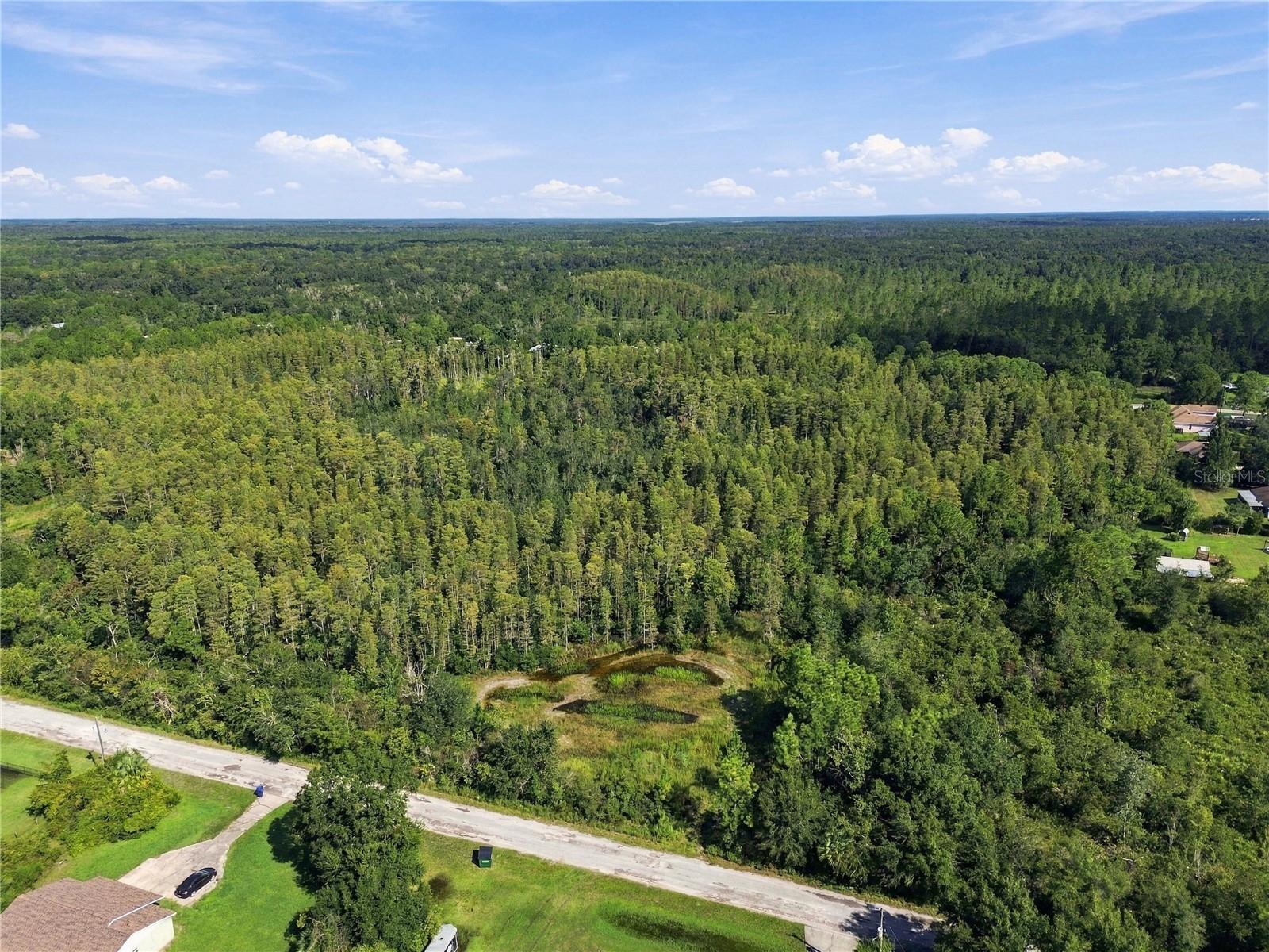 26633 PHEASANT RUN — photo 43
