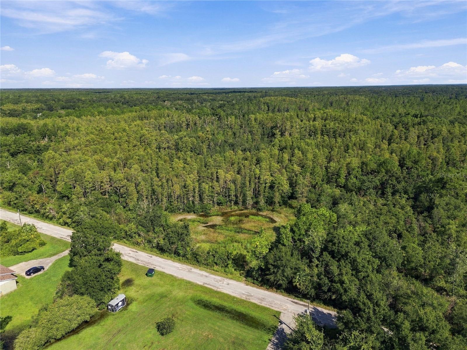 26633 PHEASANT RUN — photo 38