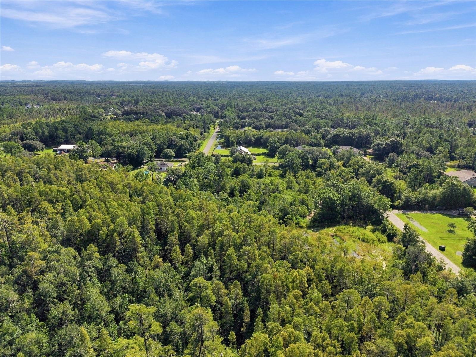 26633 PHEASANT RUN — photo 48