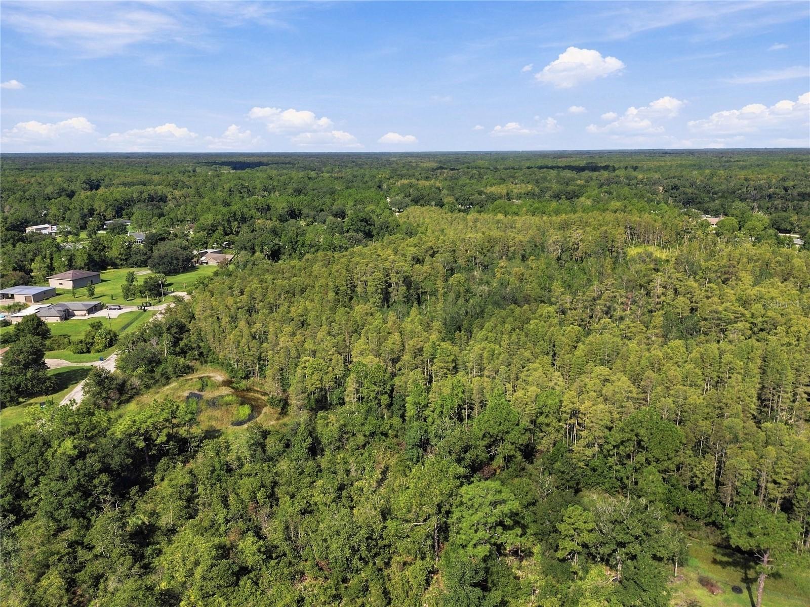 26633 PHEASANT RUN — photo 20