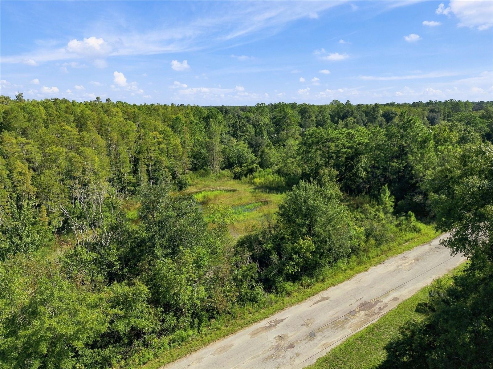 26633 PHEASANT RUN — photo 34