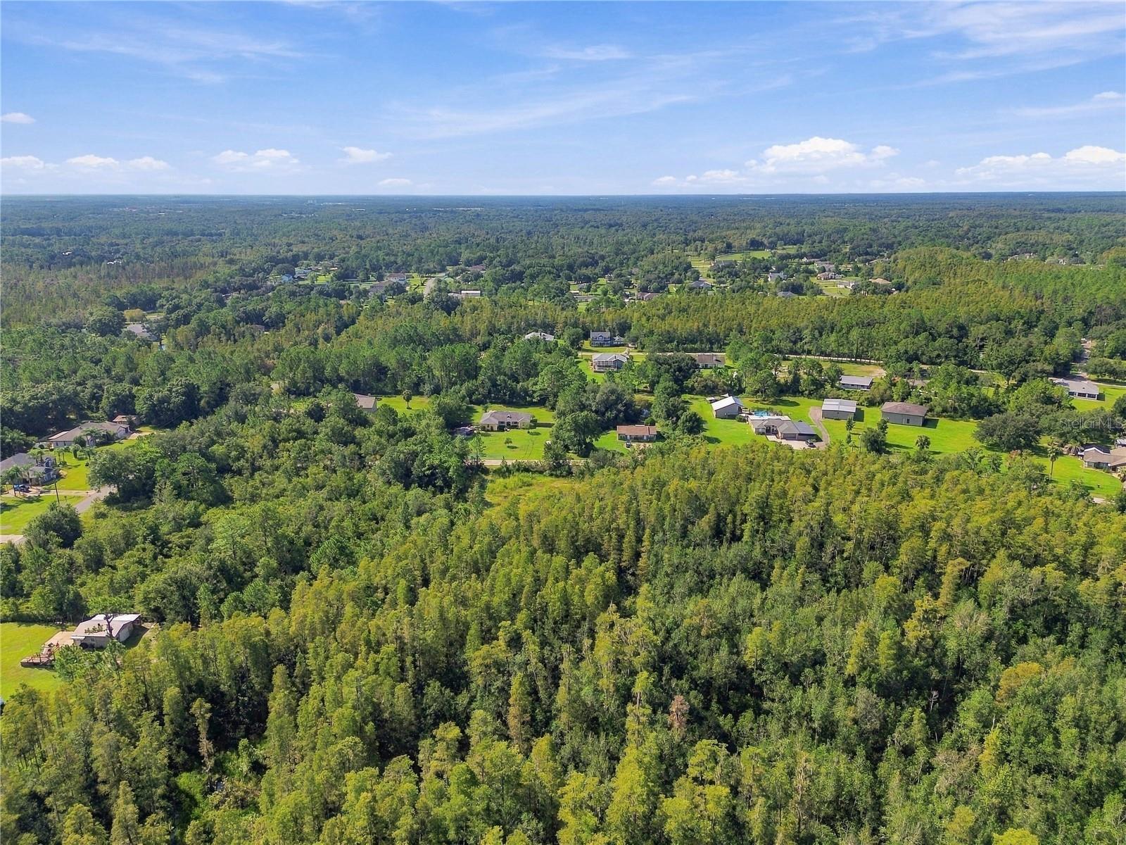 26633 PHEASANT RUN — photo 51