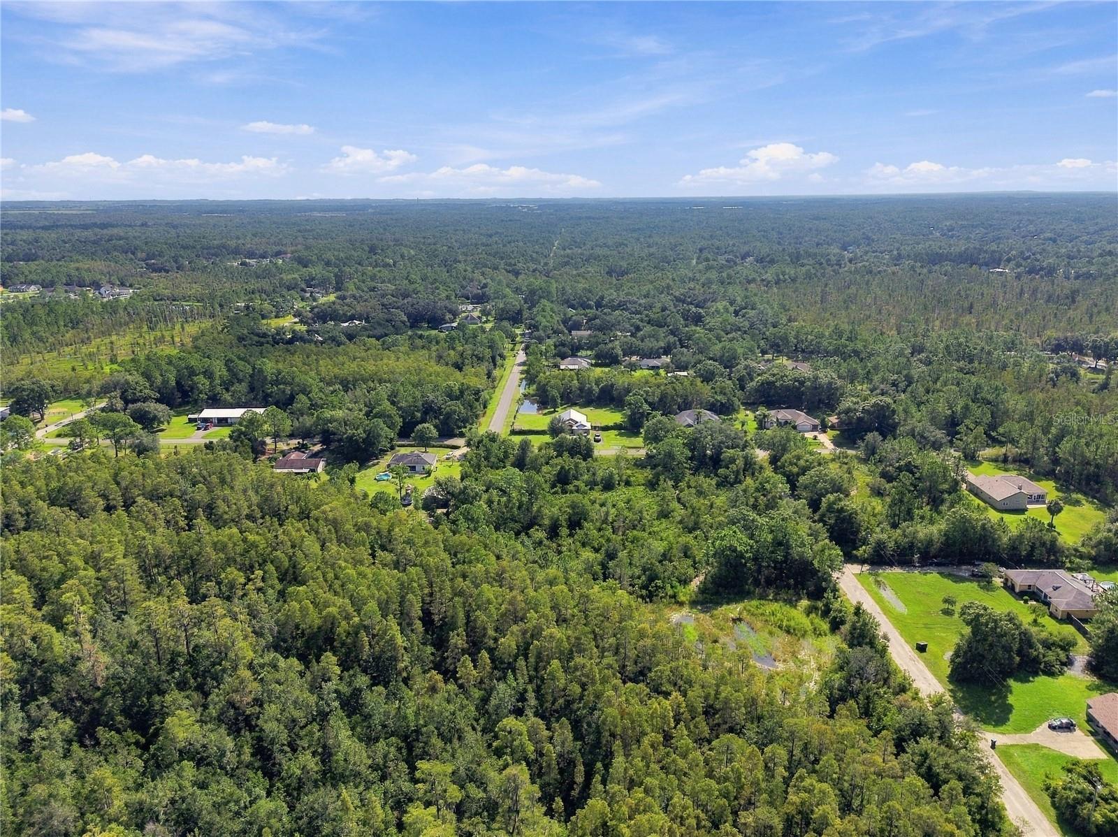 26633 PHEASANT RUN — photo 47