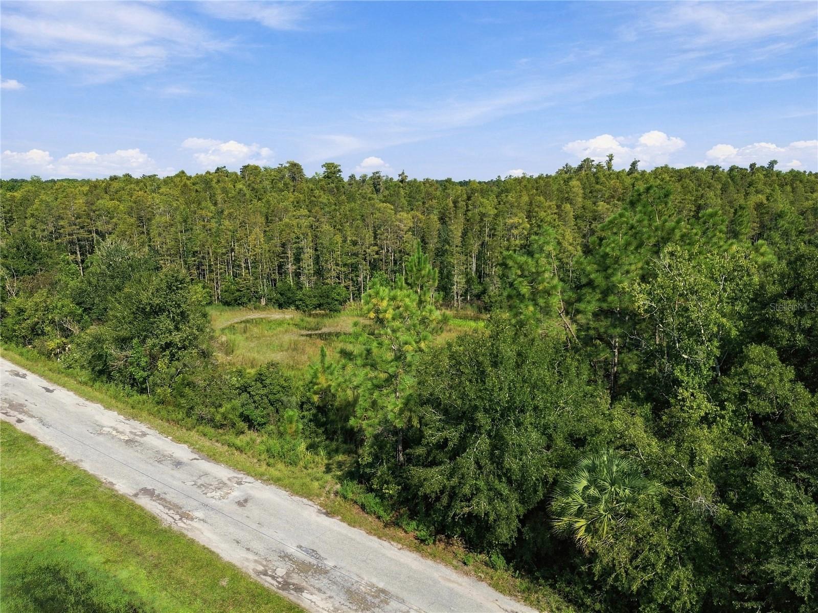 26633 PHEASANT RUN — photo 52