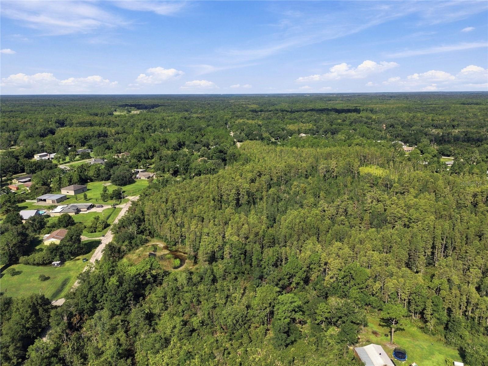26633 PHEASANT RUN — photo 19