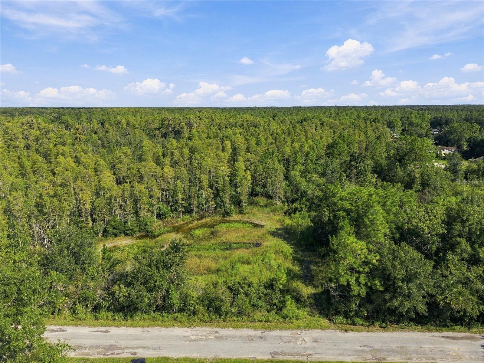 26633 PHEASANT RUN — photo 36