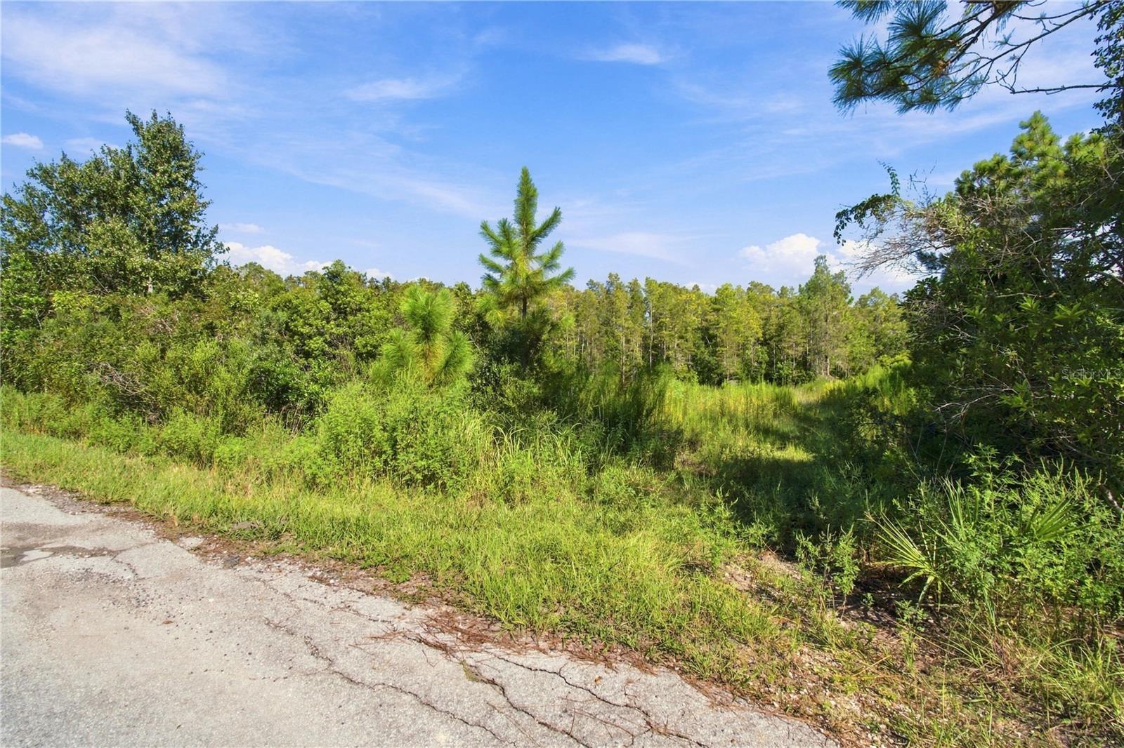26633 PHEASANT RUN — photo 14