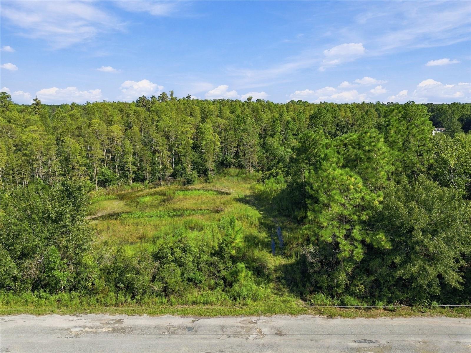26633 PHEASANT RUN — photo 53