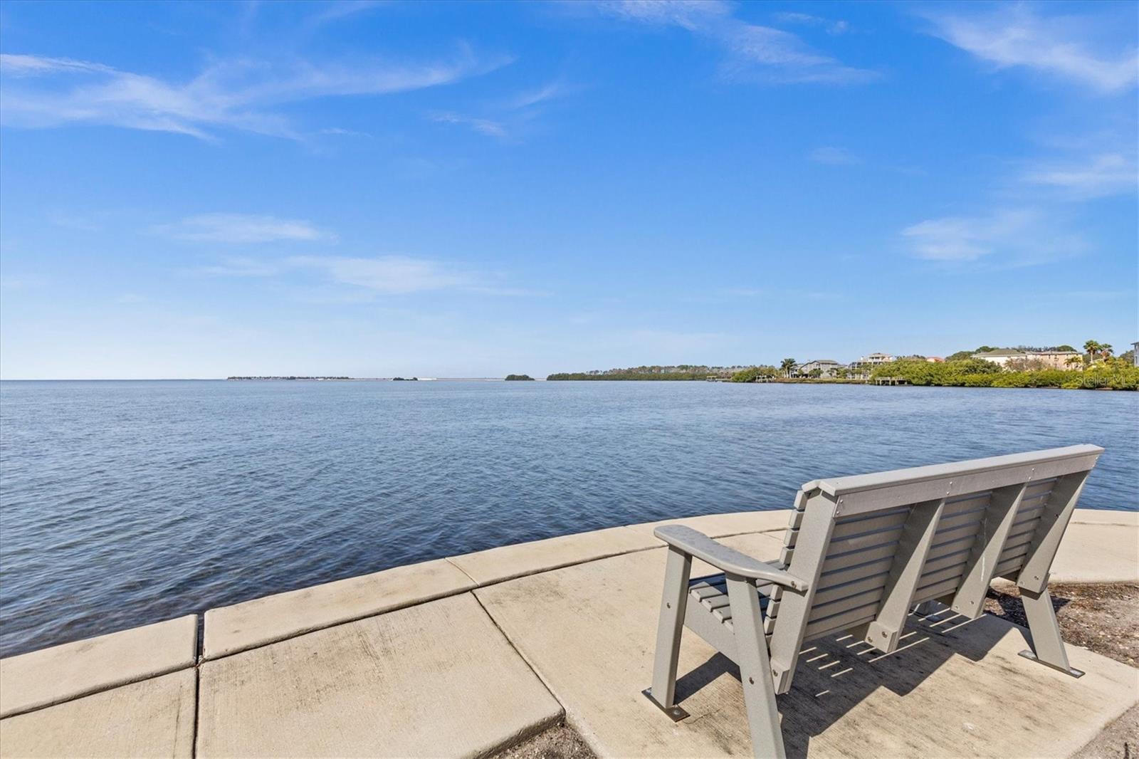 1 WINDRUSH BAY DR — photo 56