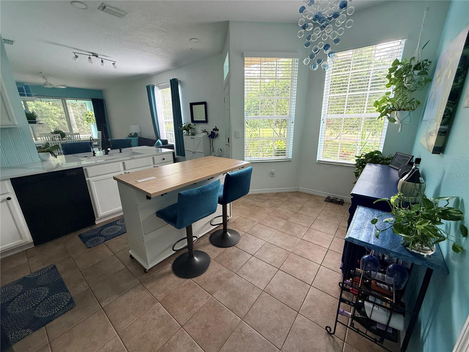 6237 DUCK KEY CT — photo 7