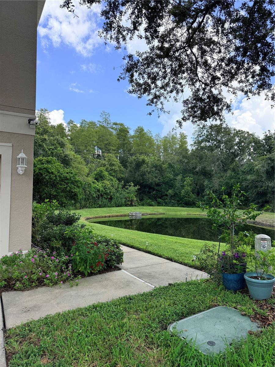 6237 DUCK KEY CT — photo 25