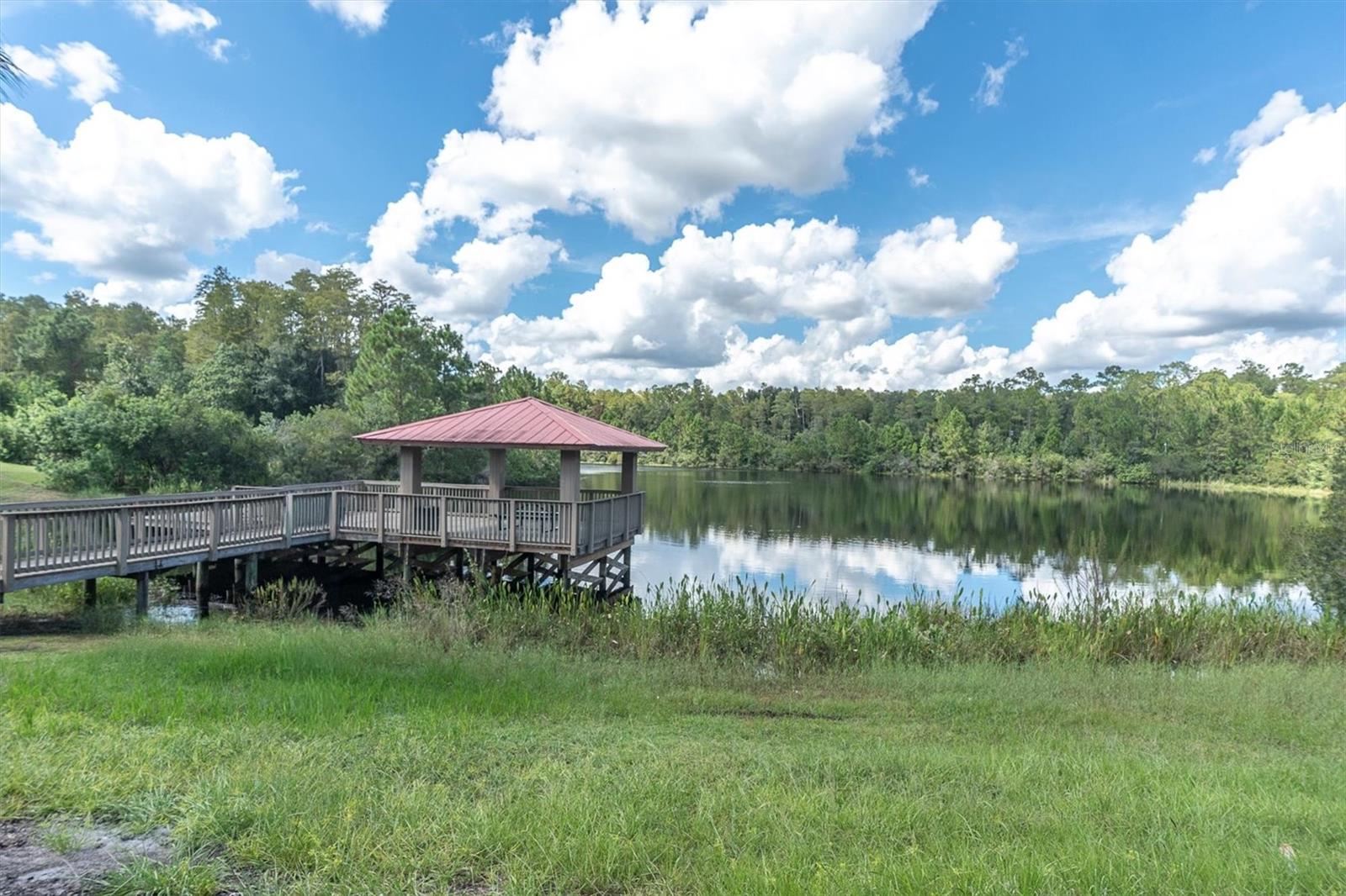 19722 LONESOME PINE DR — photo 57