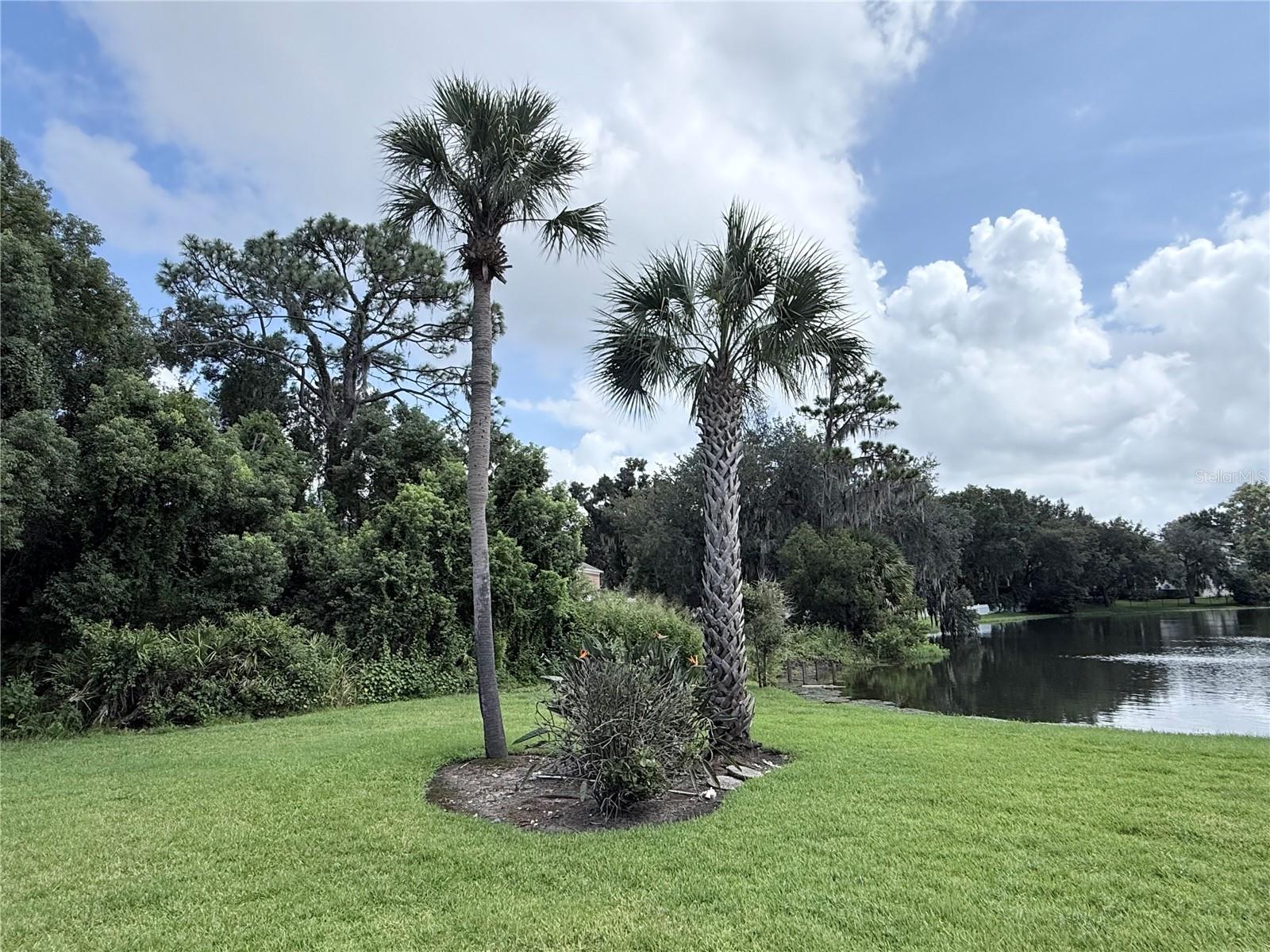 5440 LADY BUG LN #1 — photo 8
