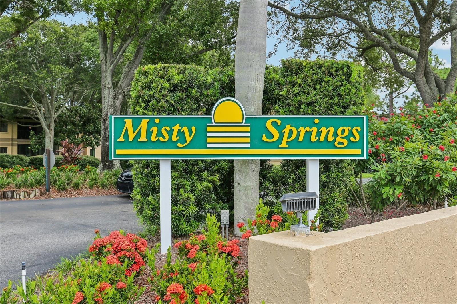 2669 SABAL SPRINGS CIR #102 — photo 48