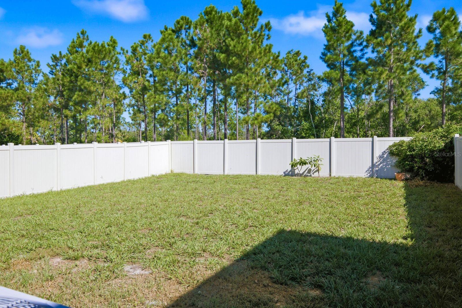6139 APPLE SNAIL AVE — photo 26