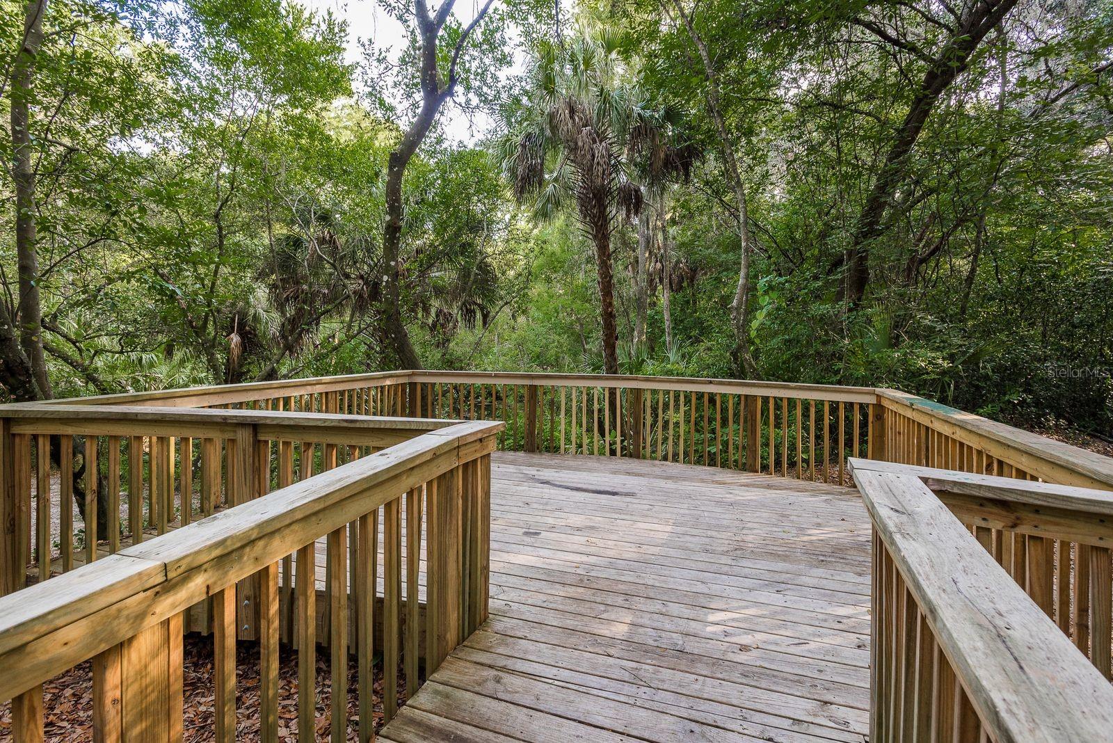 6139 APPLE SNAIL AVE — photo 34