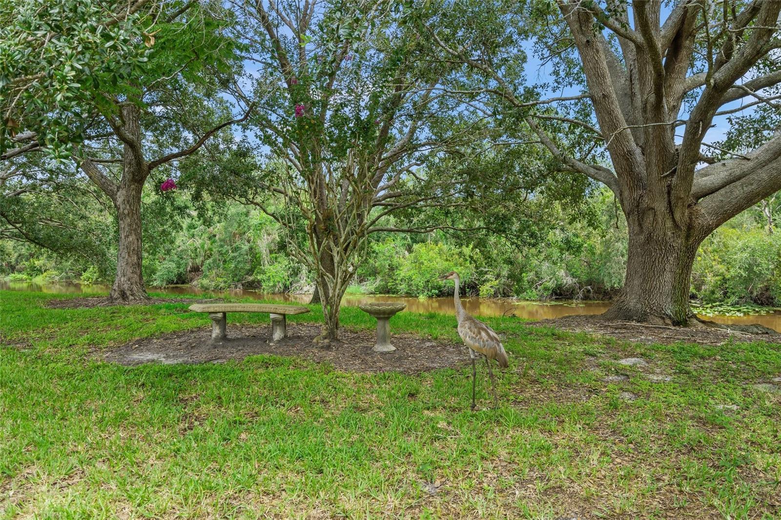 4239 CARRIAGE DR #36 — photo 32
