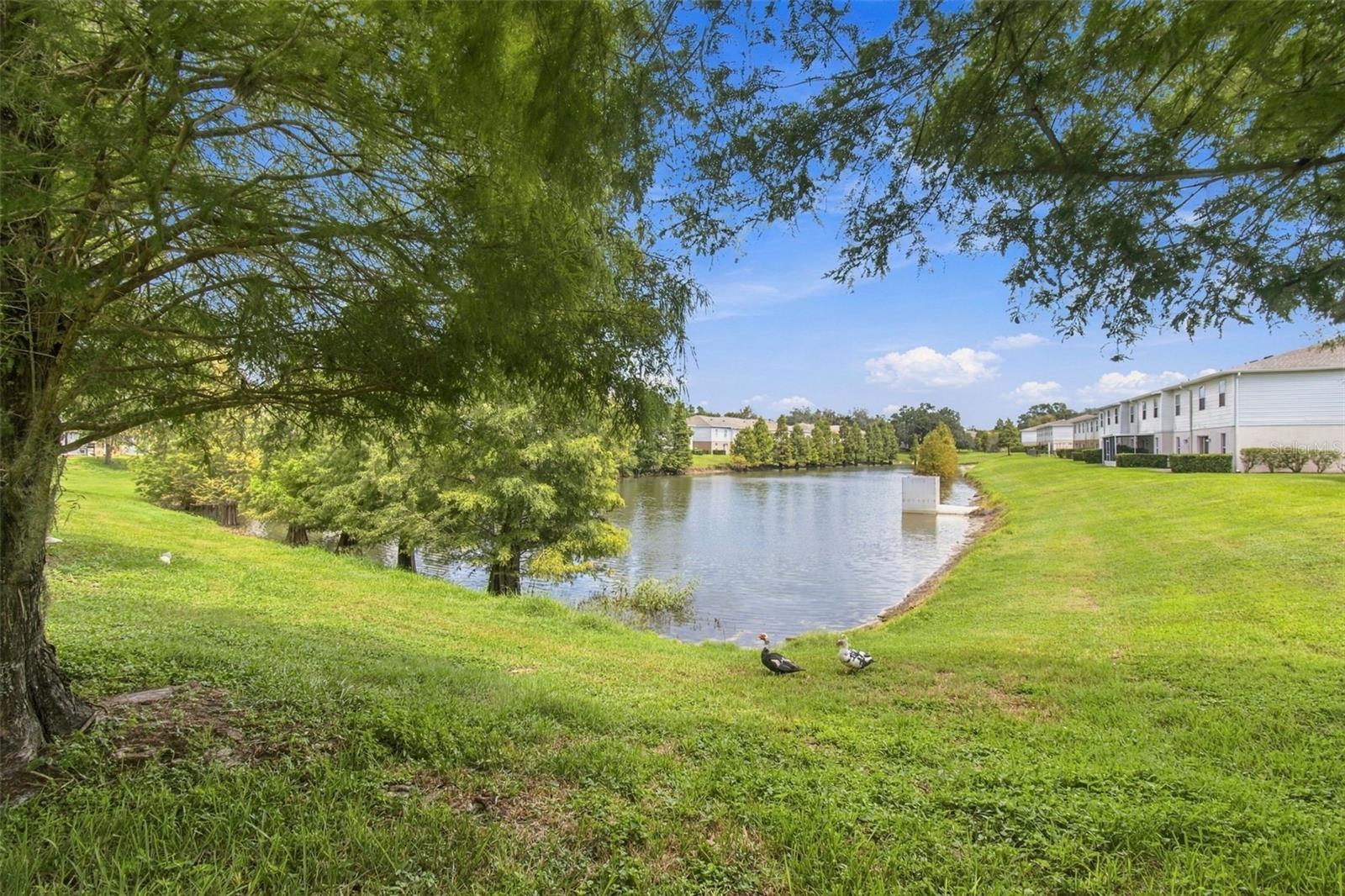 4709 ASHBURN POND WAY — photo 54