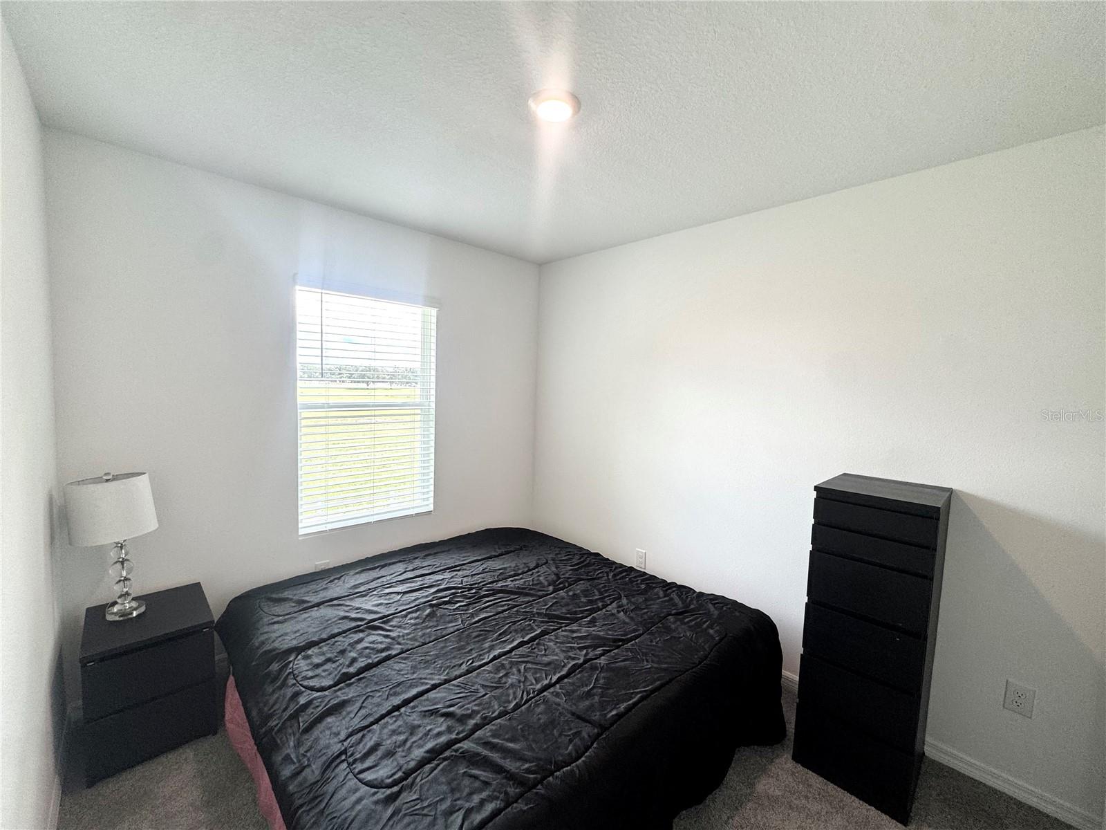4463 RACHEL FALLS DR — photo 18