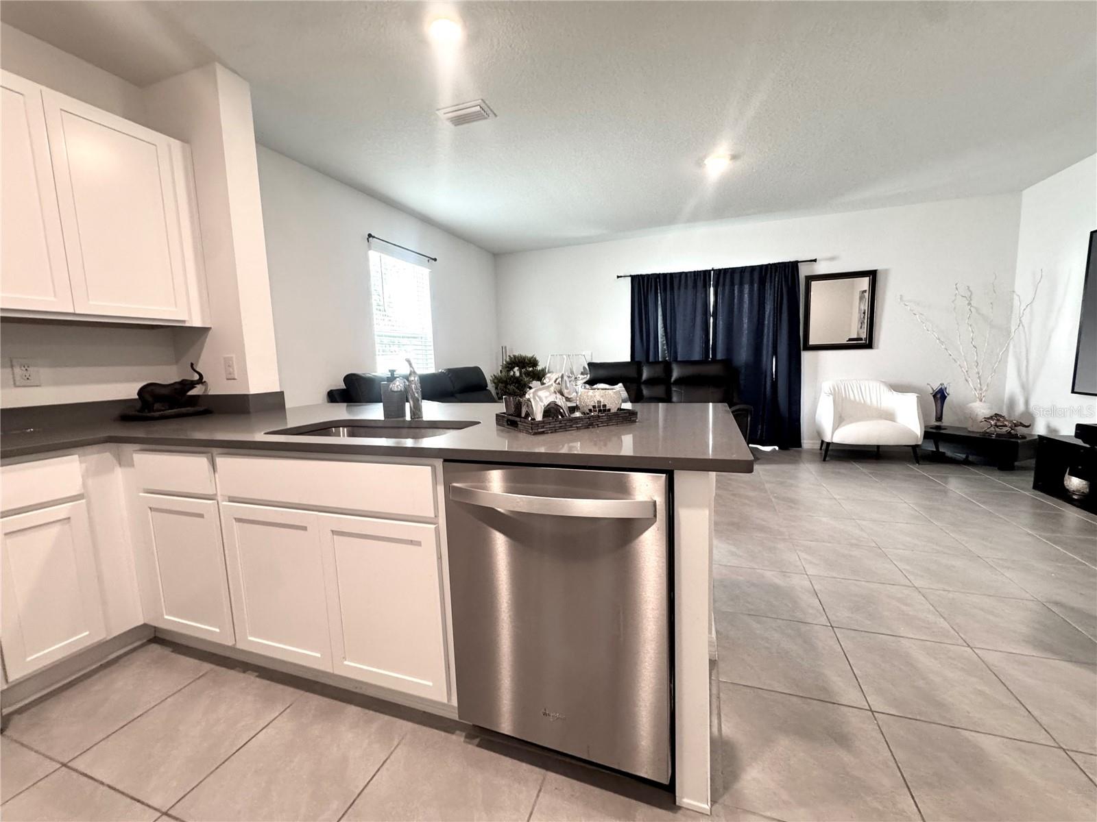 4463 RACHEL FALLS DR — photo 5