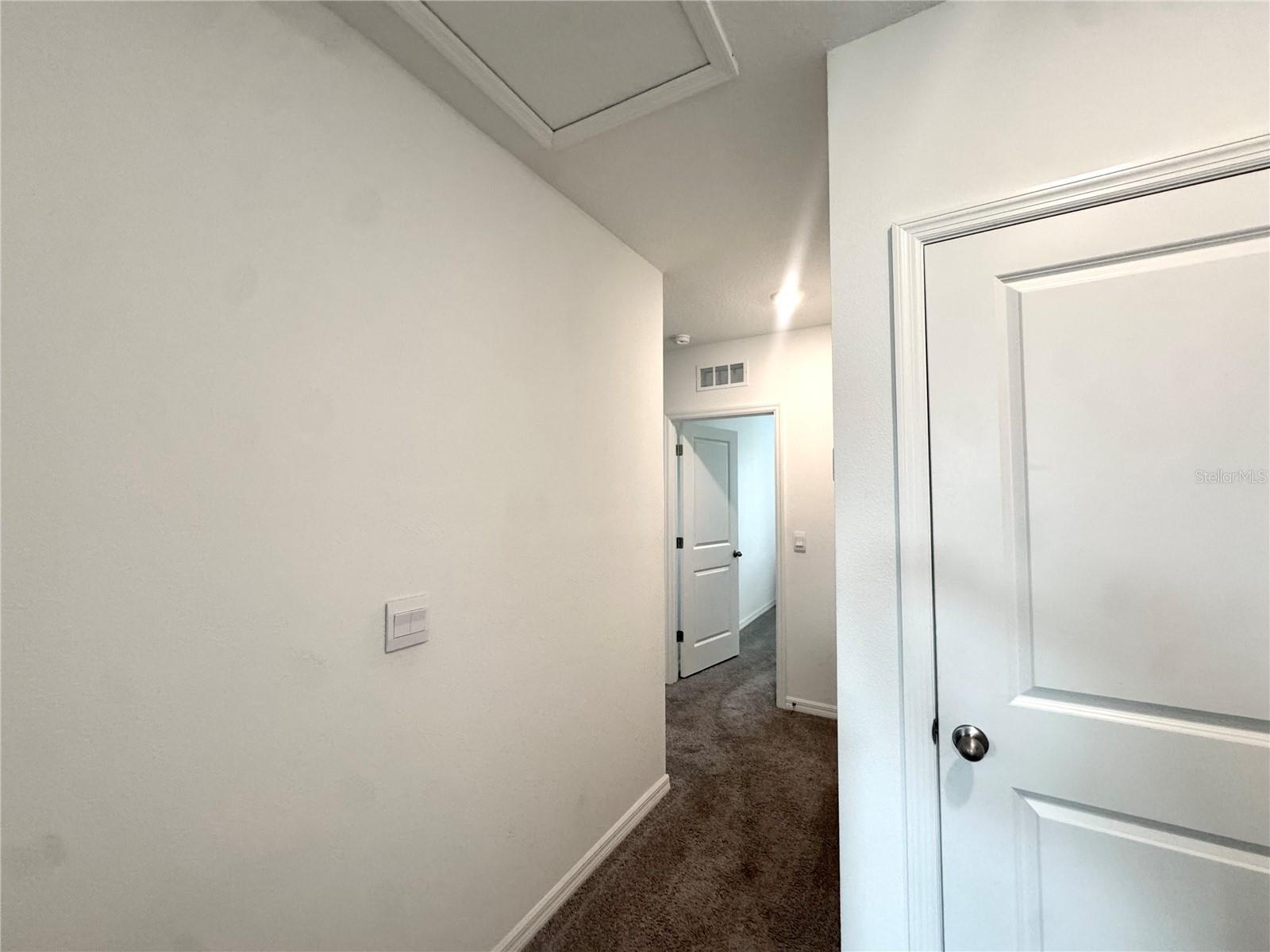 4463 RACHEL FALLS DR — photo 23
