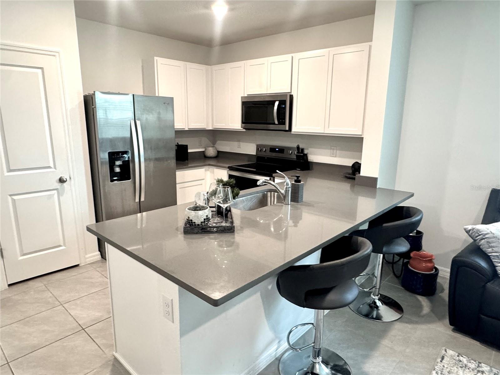 4463 RACHEL FALLS DR — photo 8