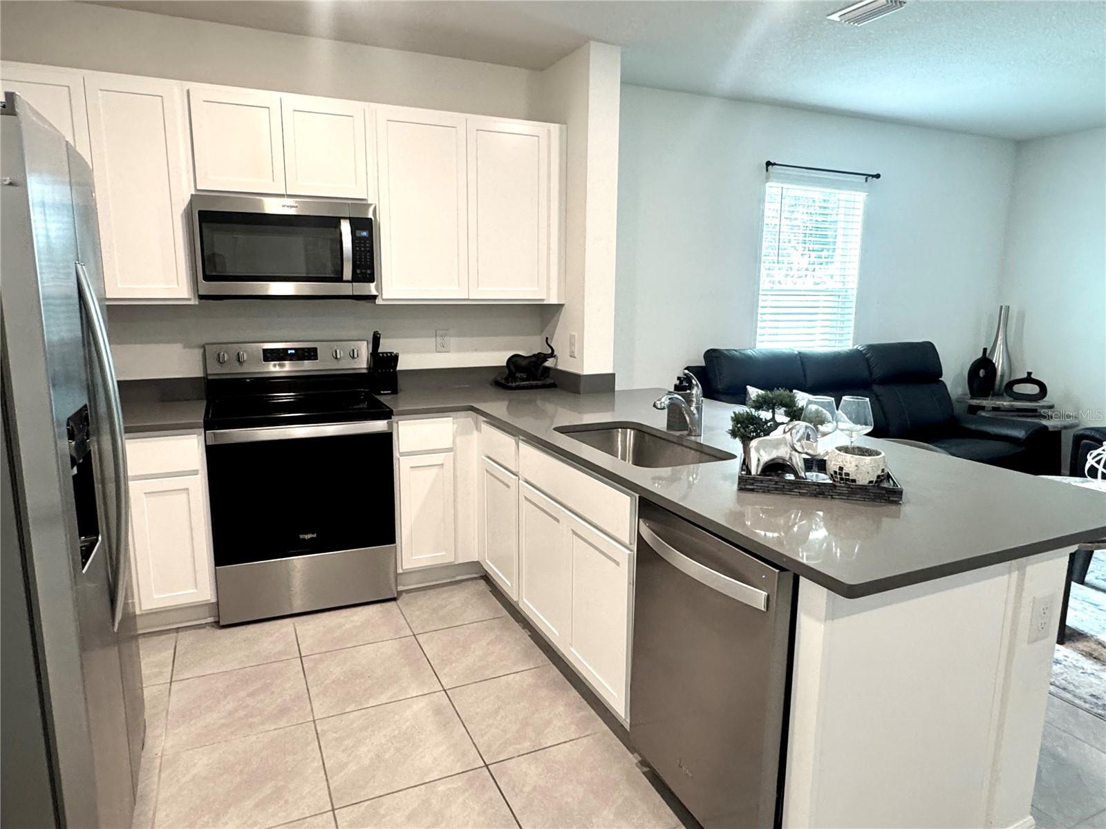 4463 RACHEL FALLS DR — photo 4