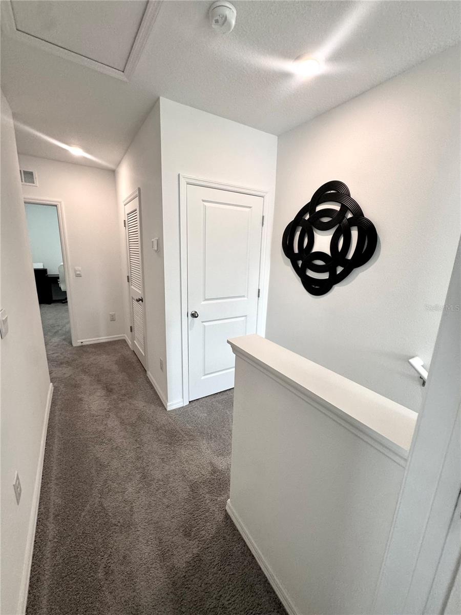 4463 RACHEL FALLS DR — photo 21