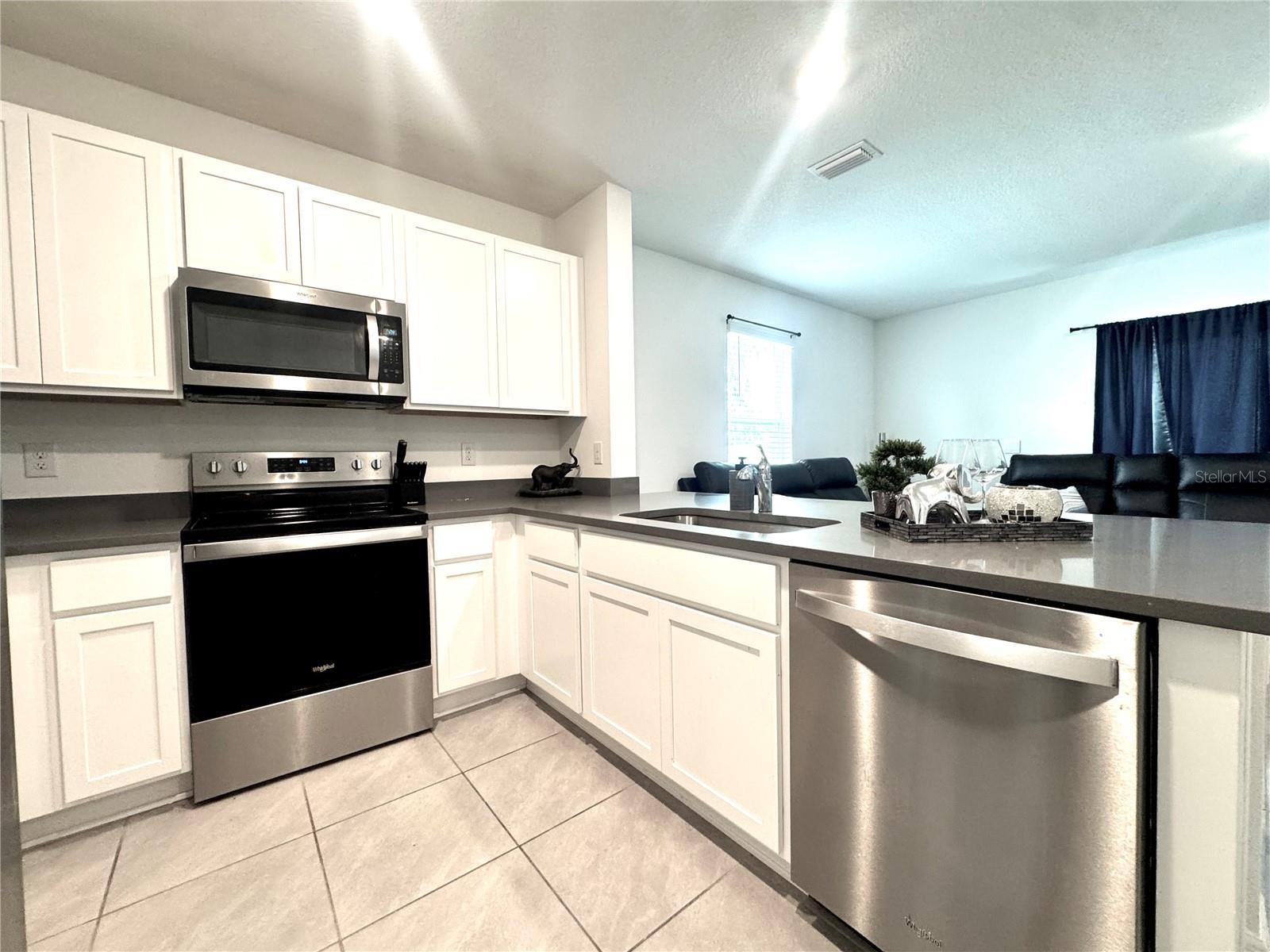 4463 RACHEL FALLS DR — photo 3