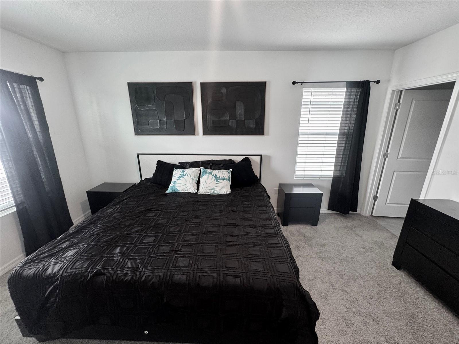 4463 RACHEL FALLS DR — photo 16