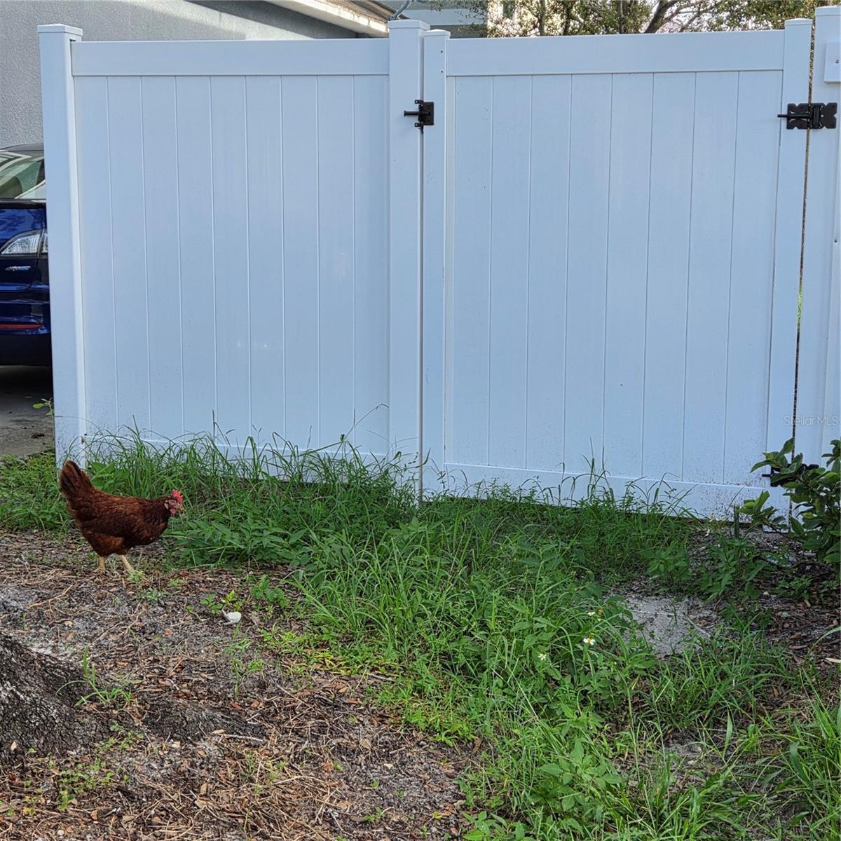 317 E PATTERSON ST — photo 10