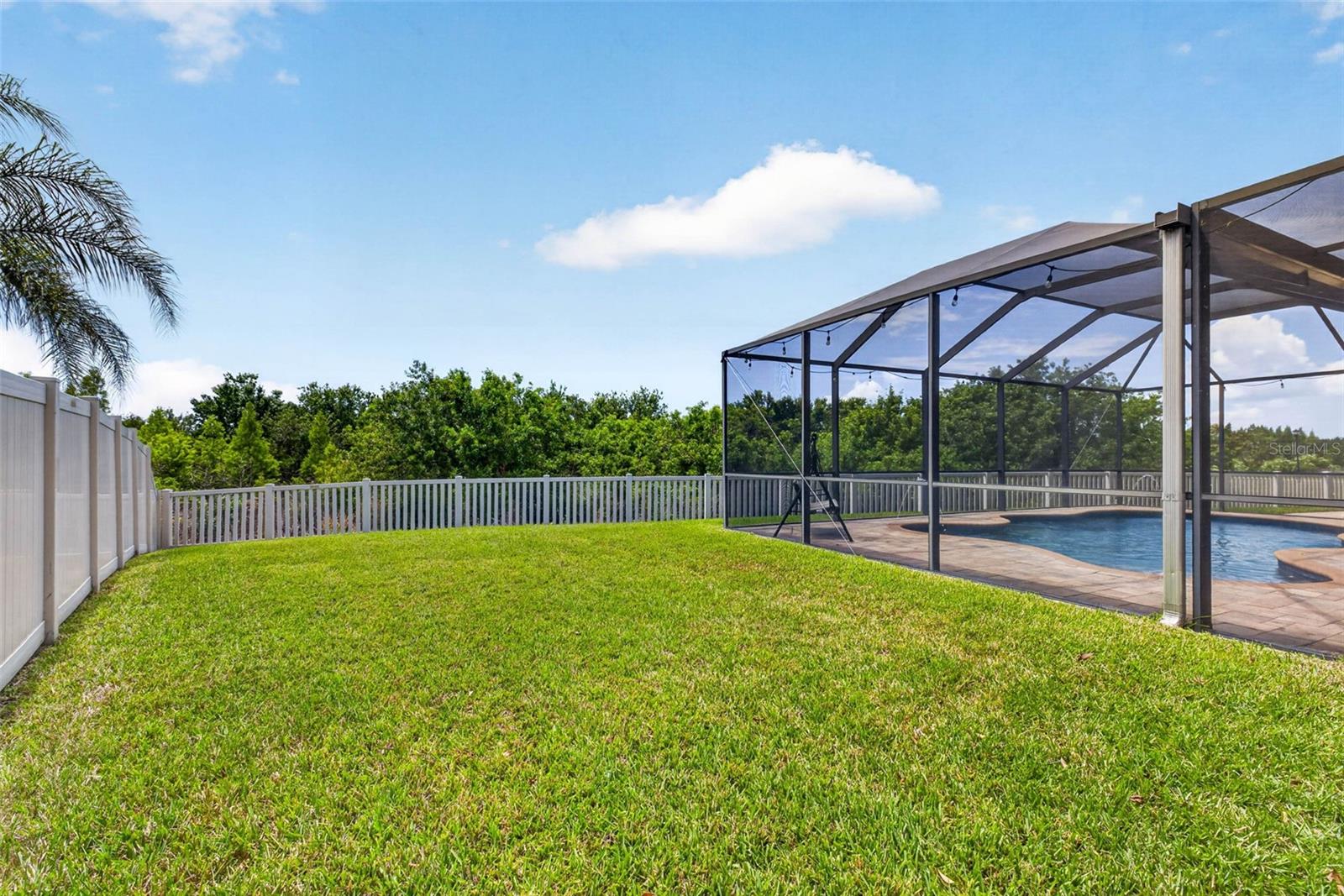 11603 PALMETTO PINE ST — photo 59