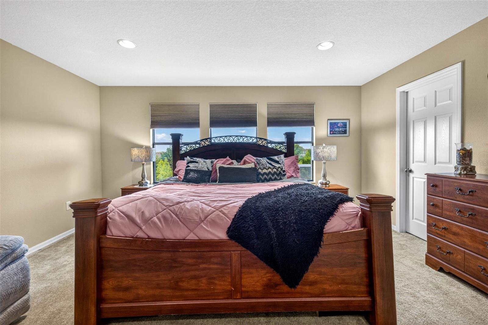 11603 PALMETTO PINE ST — photo 30